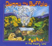 Donna the Buffalo cover